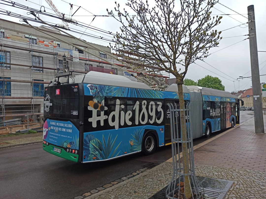 Gelenkobus Nr. 065 vom polnischen Typ Solaris Trollino 18 Kiepe IMC
